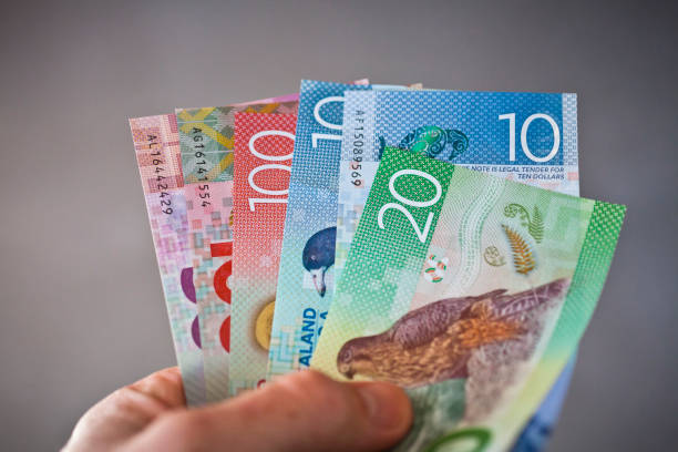 NZ Government Stimulus Package