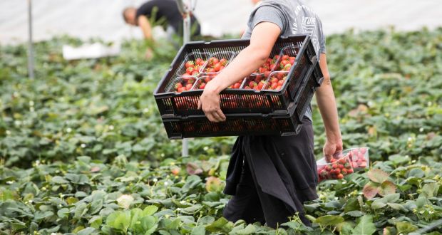 Seasonal Workers